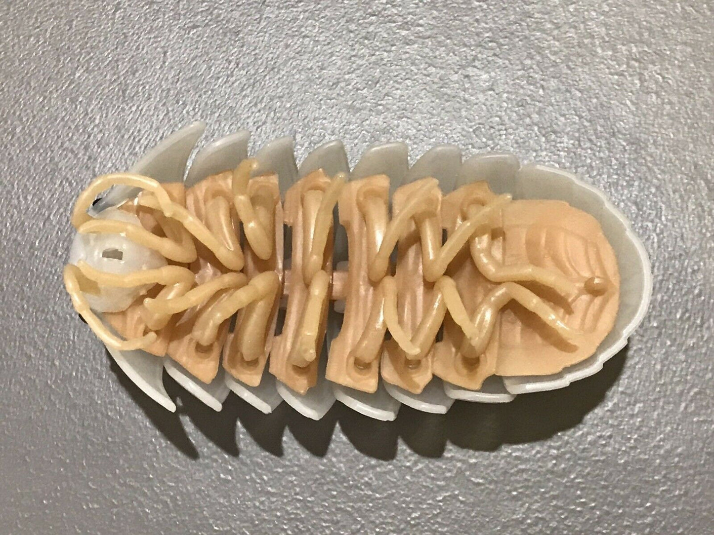 Plastic Pill Bug Roly Poly Insect Potato Bug Isopod Figure w/Moving Parts - CLEAR WHITE TRANSLUCENT Color 10cm