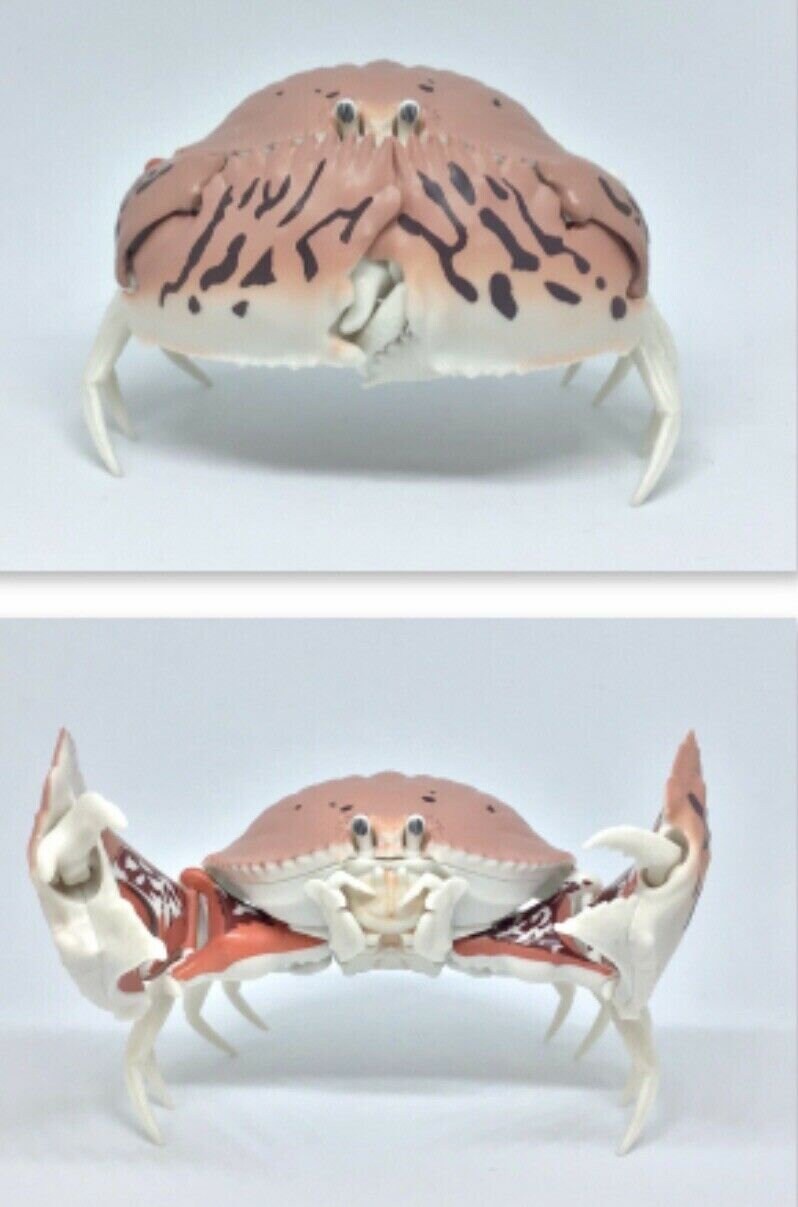 Plastic Ocean Box Crab Figure w/Moving Joints Parts