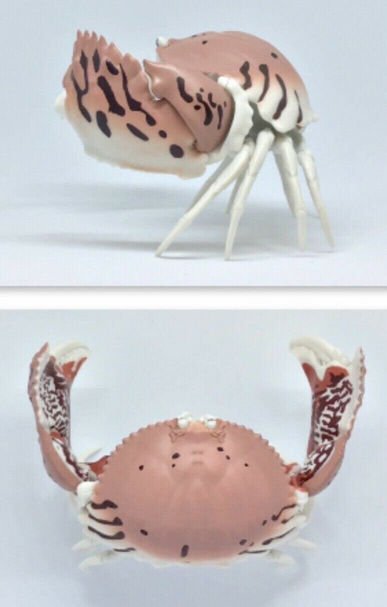 Plastic Ocean Box Crab Figure w/Moving Joints Parts