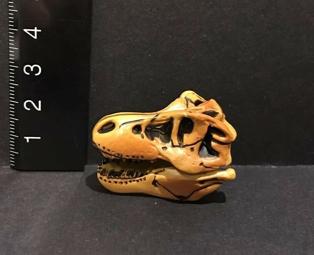 Vintage Kaiyodo Tyrannosaurus Rex Skull Dinosaur Dinotales Plastic Miniature Figure