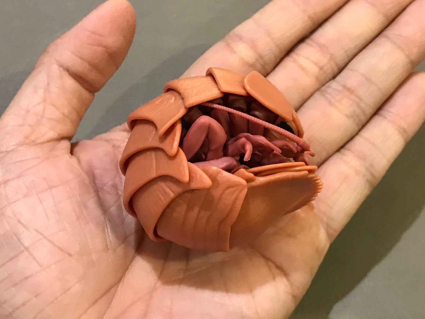 Plastic Pill Bug Roly Poly Insect Potato Bug Isopod Keychain Figure w/Moving Parts - Reddish Brown Color 9cm