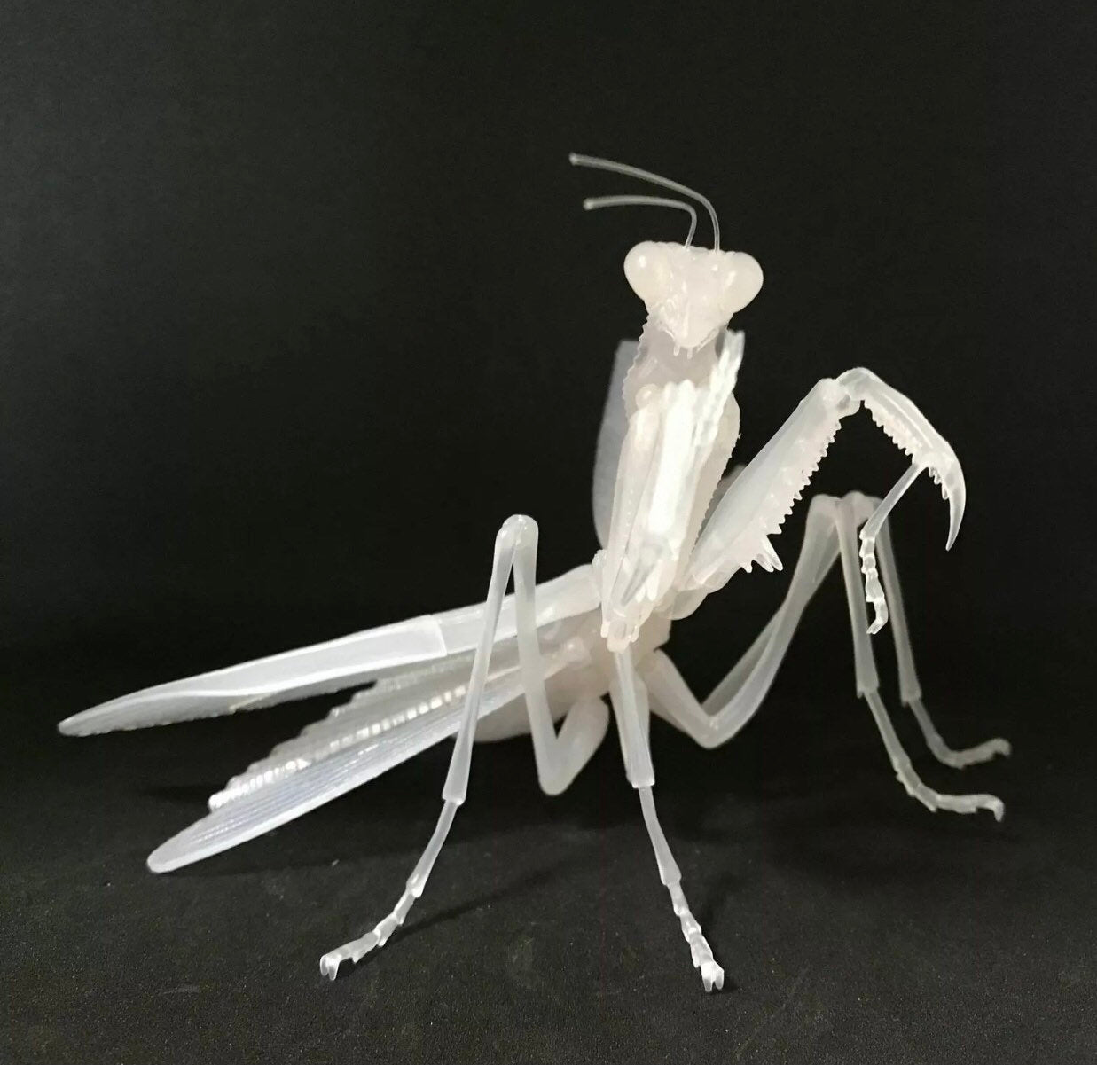 Praying Mantis Clear Albino White Insect PVC Figure w/ Movable Joints