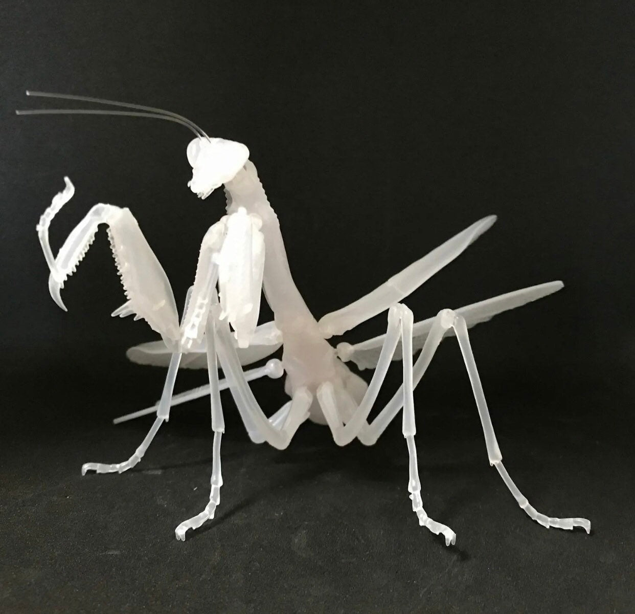 Praying Mantis Clear Albino White Insect PVC Figure w/ Movable Joints