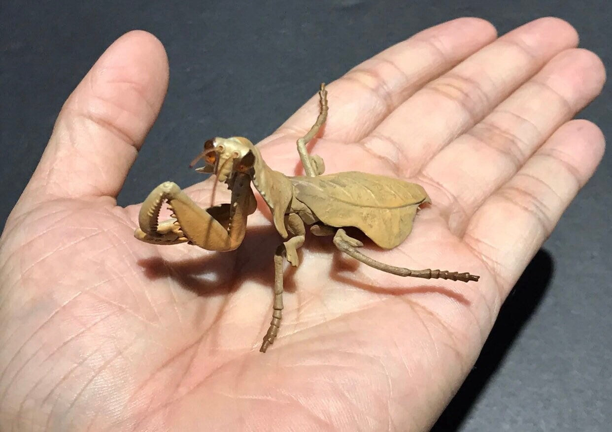 Brown Leaf Praying Mantis PVC Figure
