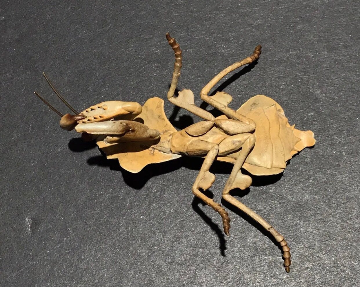 Brown Leaf Praying Mantis PVC Figure
