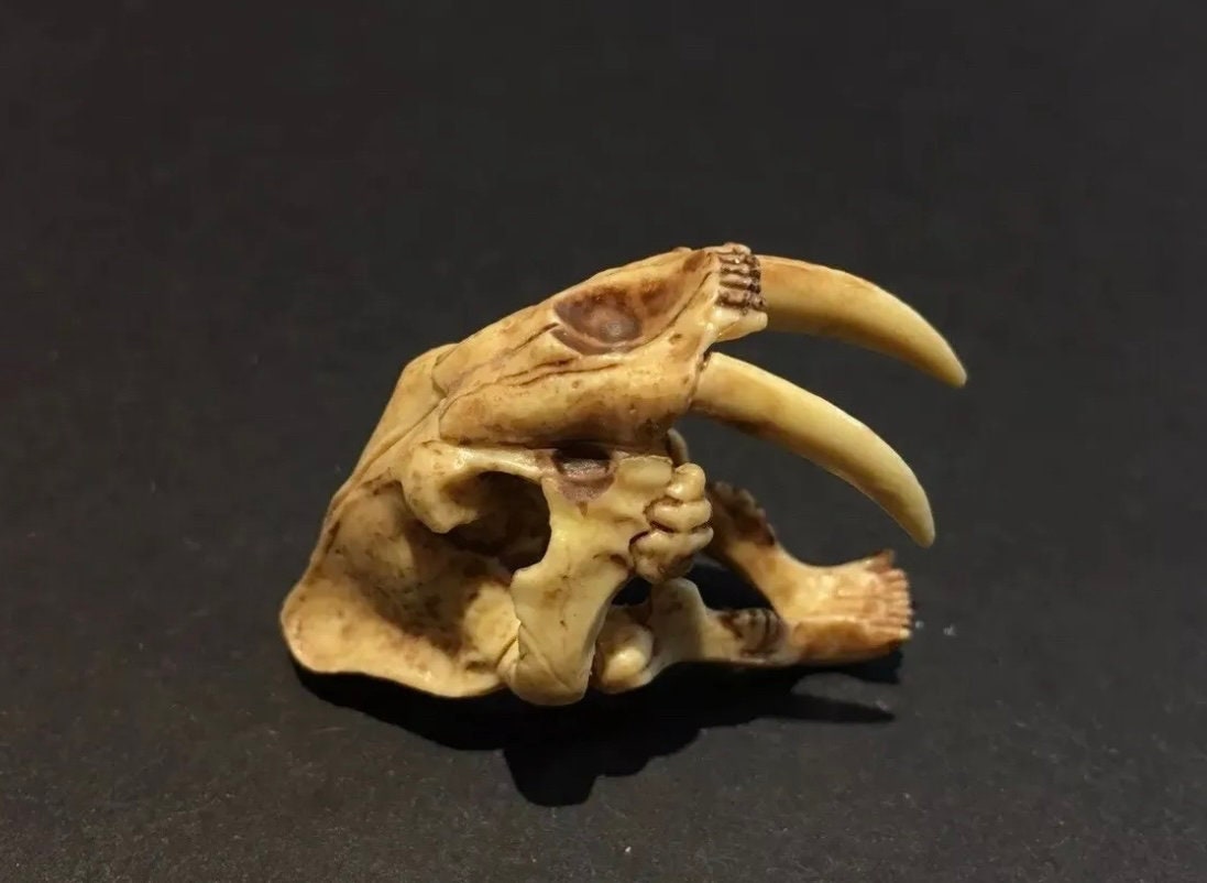 Vintage Kaiyodo Series 2 Smilodon Sabretooth Tiger Skull Skeleton Dinosaur Dinotales Plastic Miniature Figure