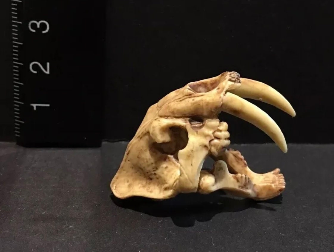 Vintage Kaiyodo Series 2 Smilodon Sabretooth Tiger Skull Skeleton Dinosaur Dinotales Plastic Miniature Figure