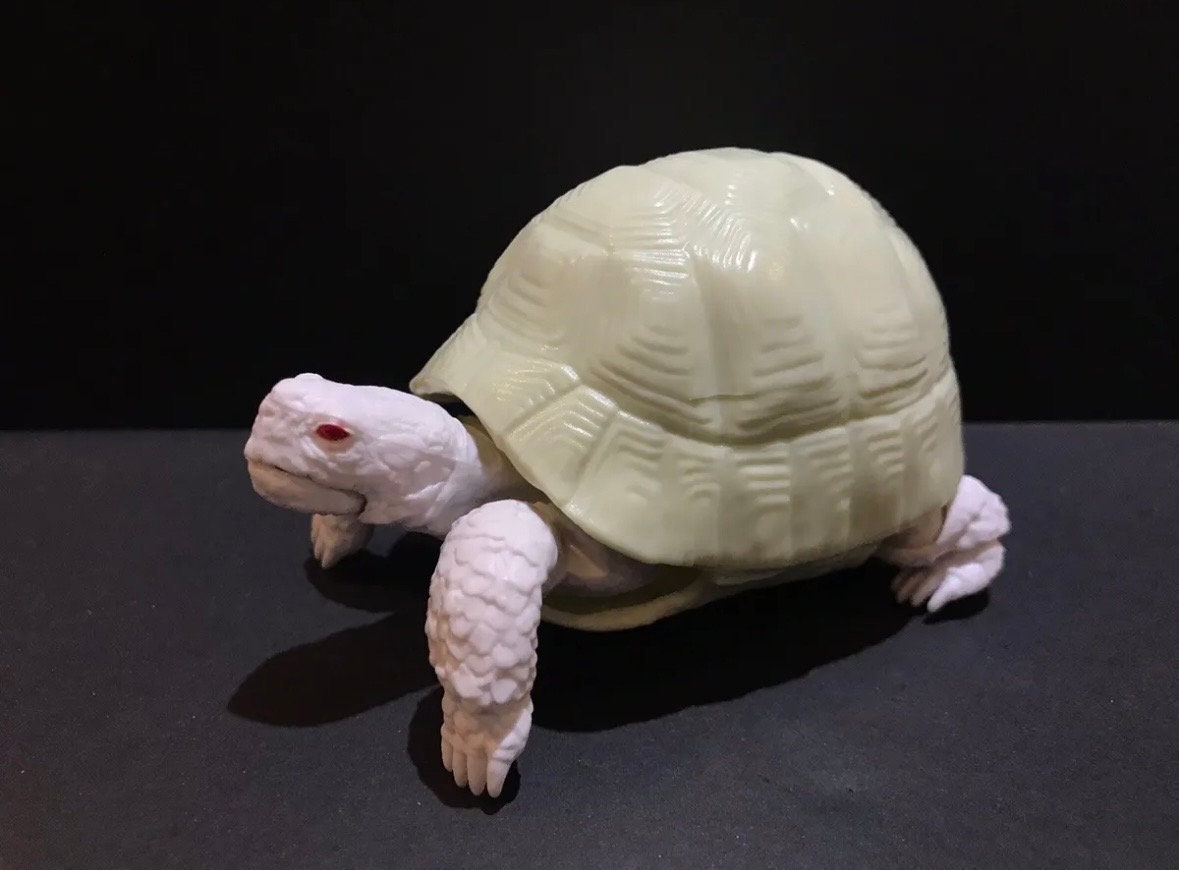 Realistic Greek Tortoise Turtle Model Plastic Figure with Movable legs and head Albino White Color