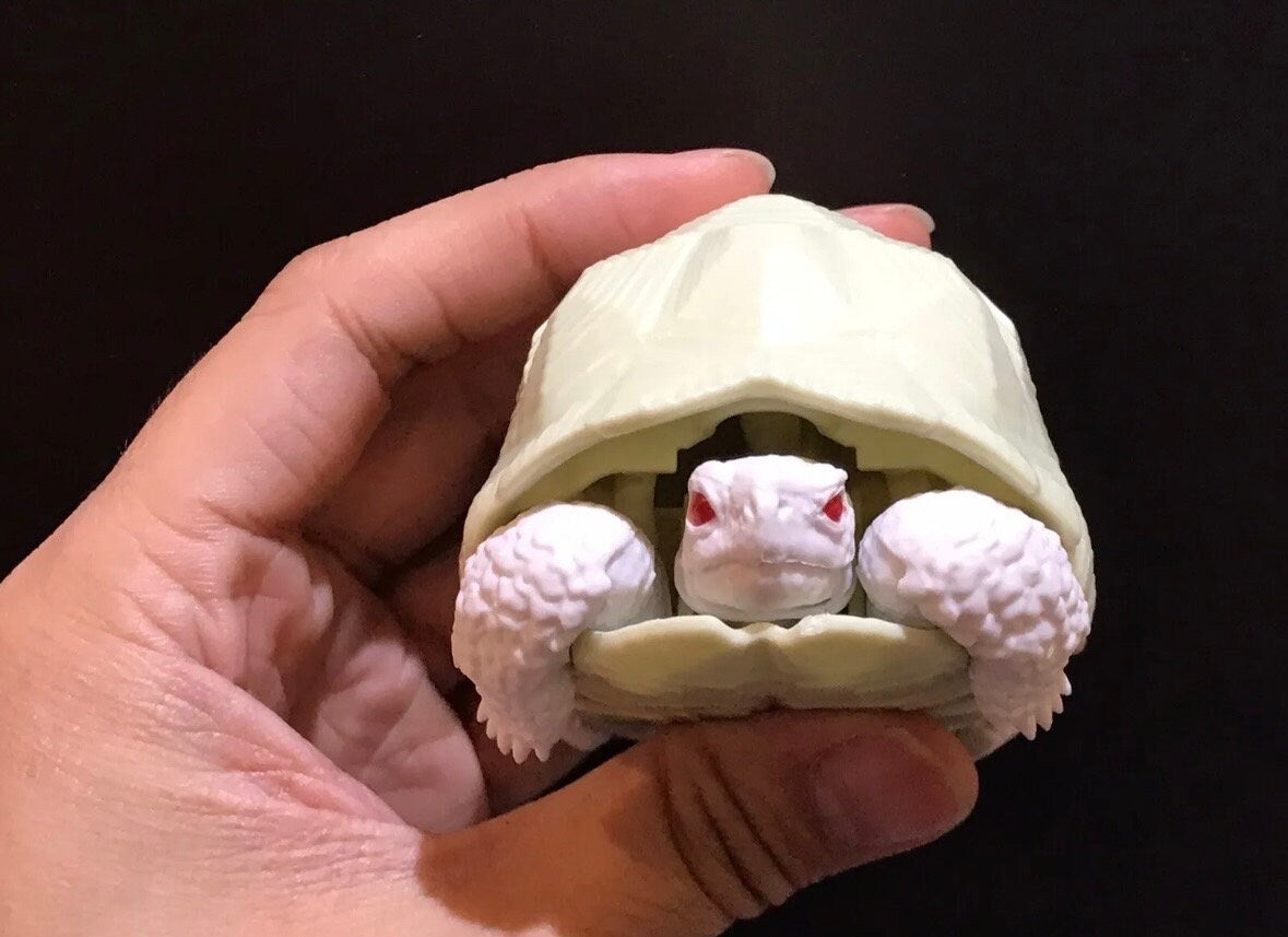 Realistic Indian Star Tortoise Turtle Model Plastic Figure with Movable legs and head Albino White Color