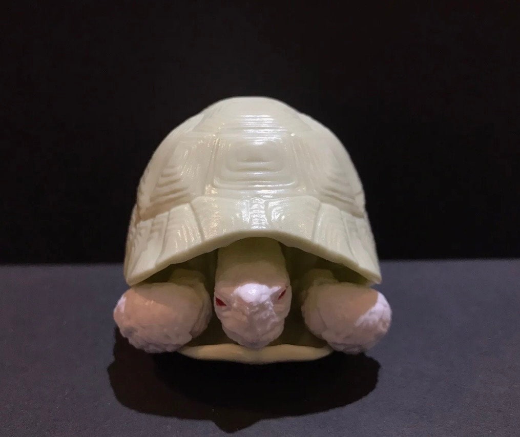 Realistic Greek Tortoise Turtle Model Plastic Figure with Movable legs and head Albino White Color