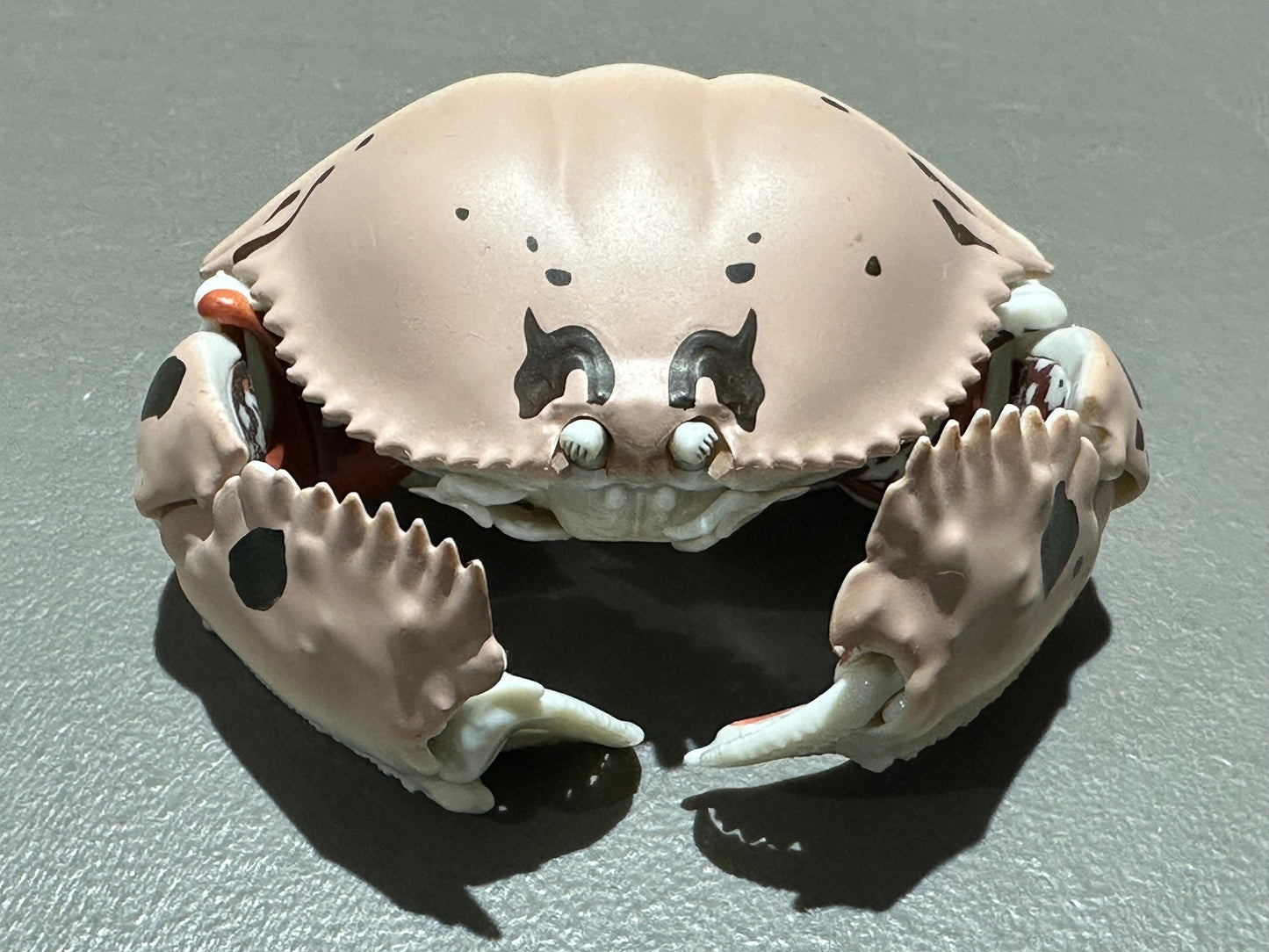Realistic Plastic Ocean Glasses Box Crab Figure w/Moving Joints Parts