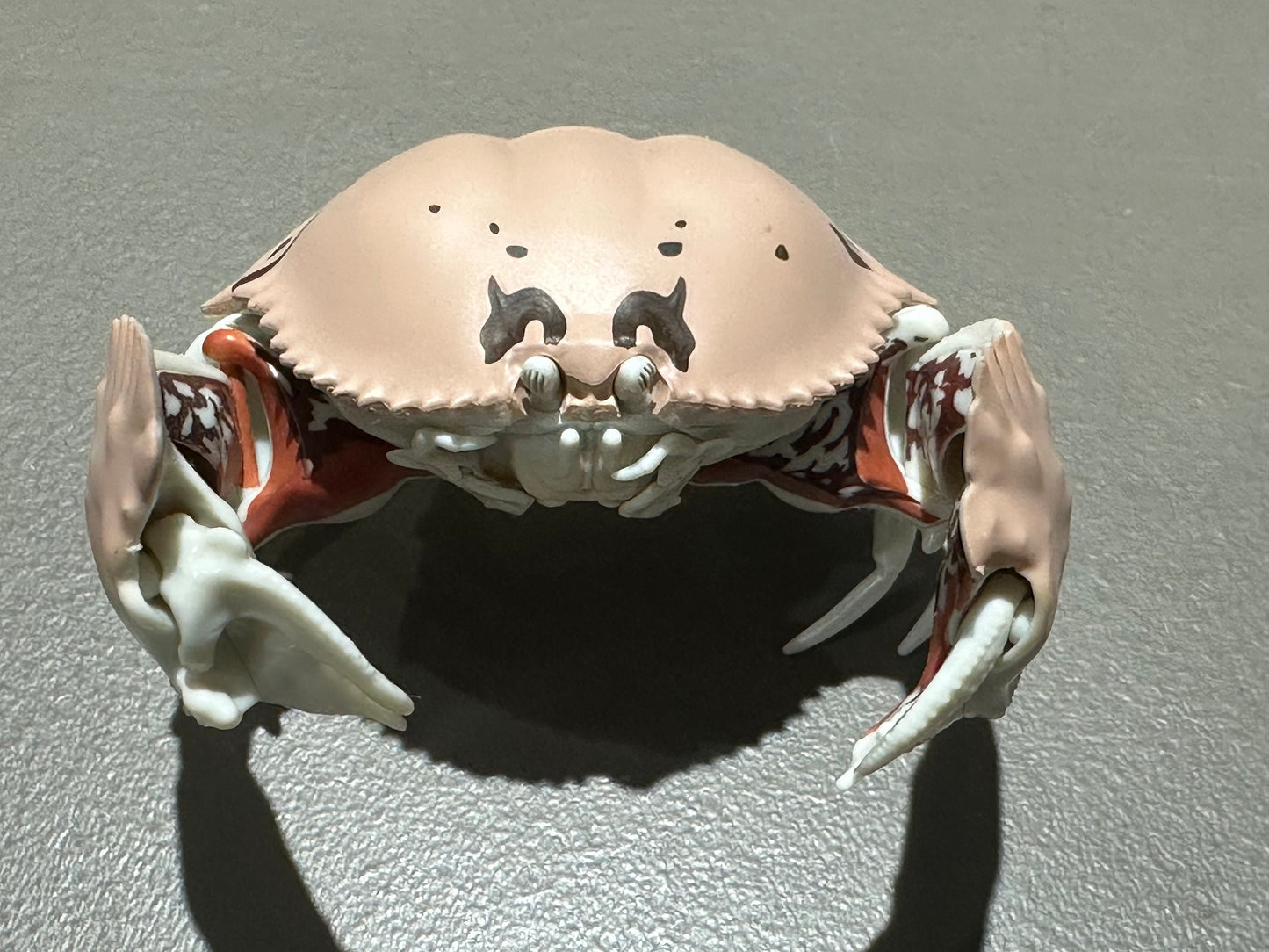 Realistic Plastic Ocean Glasses Box Crab Figure w/Moving Joints Parts