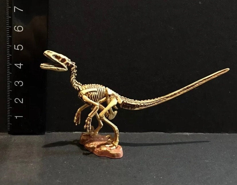 Vintage Kaiyodo UHA Dinotales Series 3 Deinonychus Skeleton Dinosaur Figure