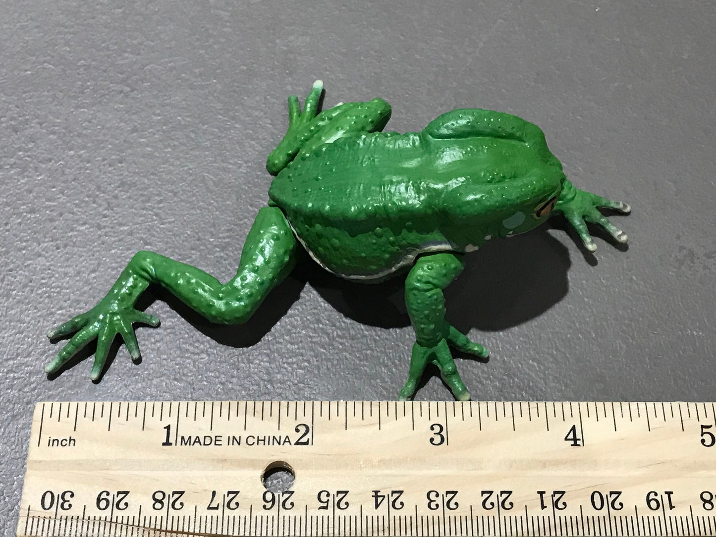 Realistic Waxy Monkey Leaf Tree Frog Plastic Full Color Figure