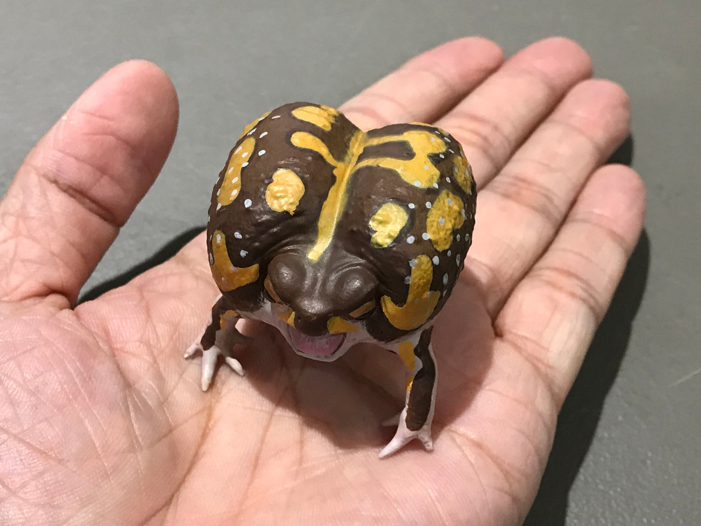 Realistic African Bushveld Rain Frog Plastic Full Color Figure