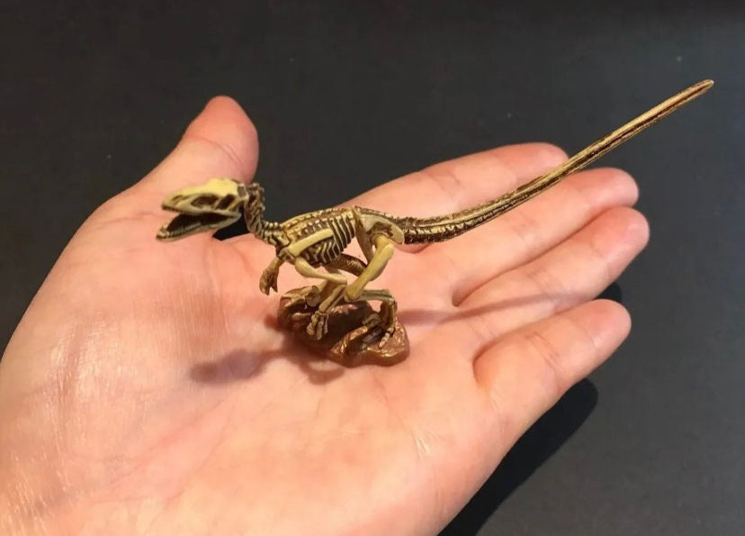 Vintage Kaiyodo UHA Dinotales Series 3 Deinonychus Skeleton Dinosaur Figure