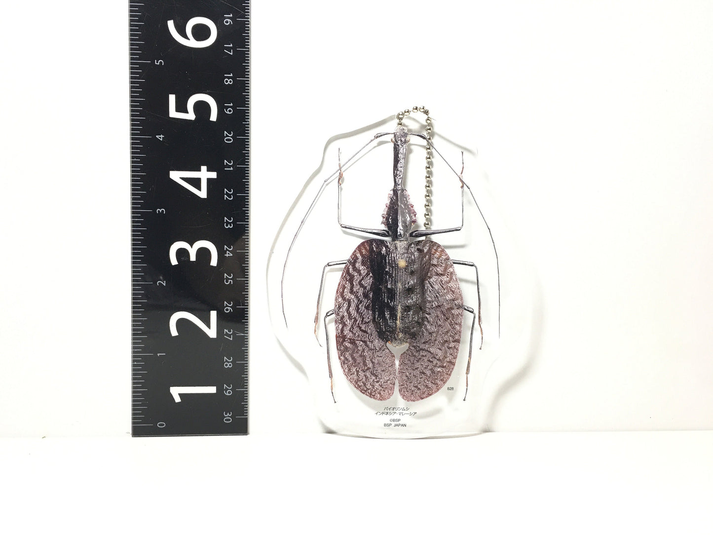 Violin Beetle Acrylic Keychain Key Holder