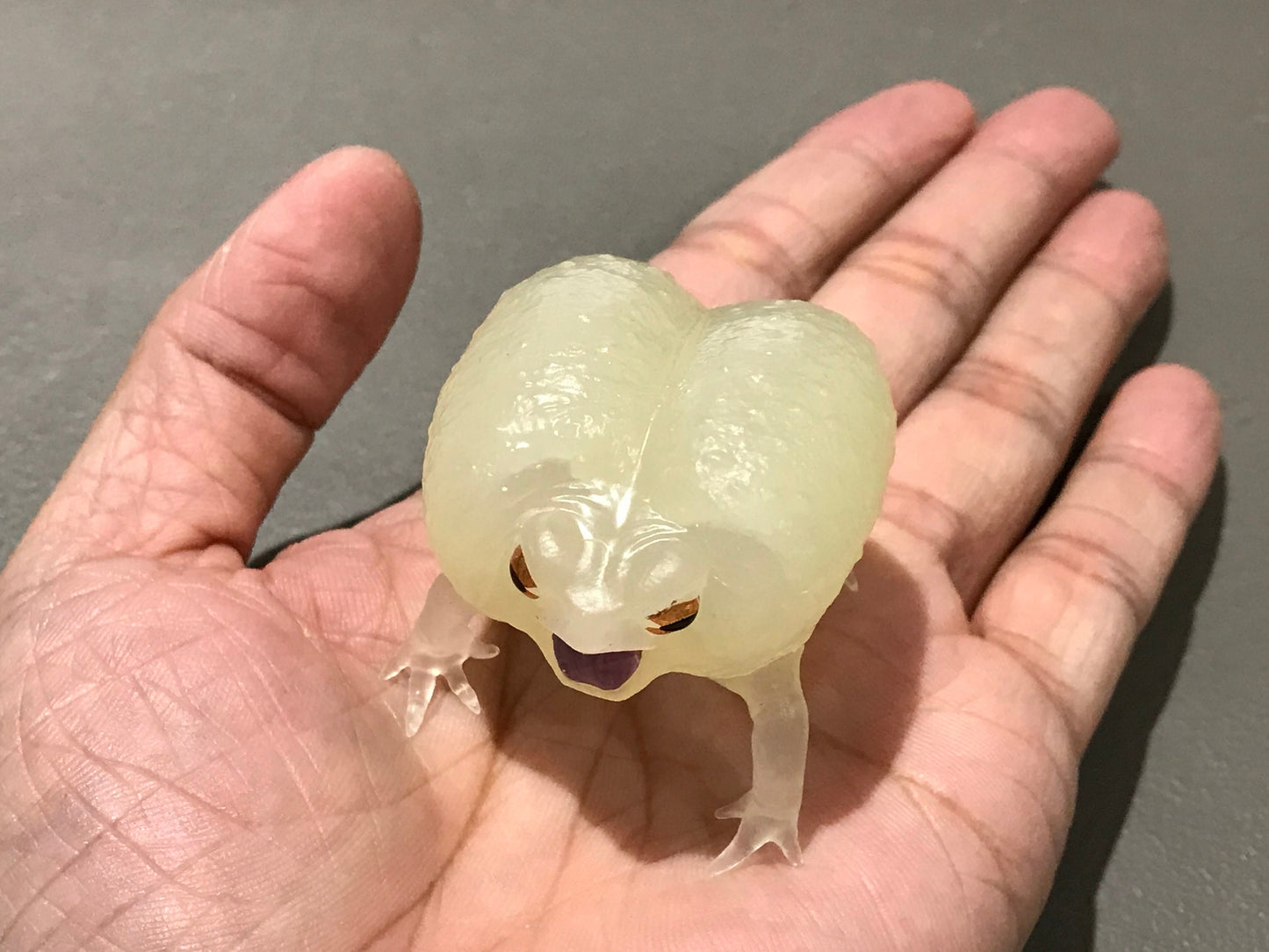 Realistic African Bushveld Rain Frog Plastic Glow in Dark Clear Color Figure