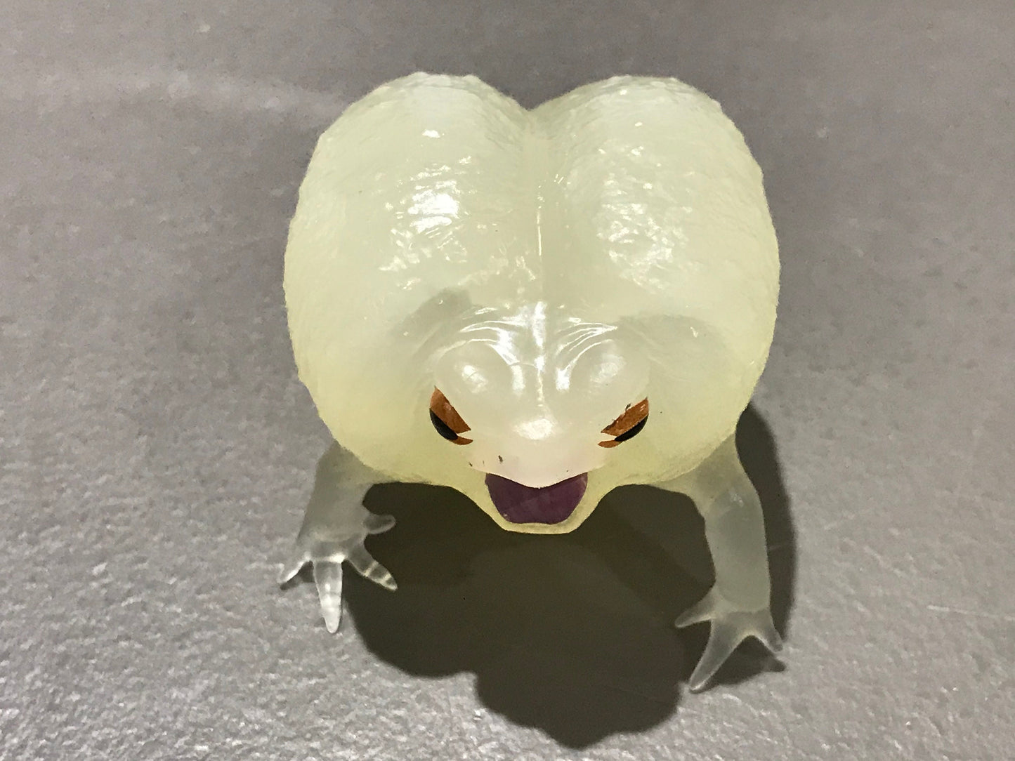 Realistic African Bushveld Rain Frog Plastic Glow in Dark Clear Color Figure