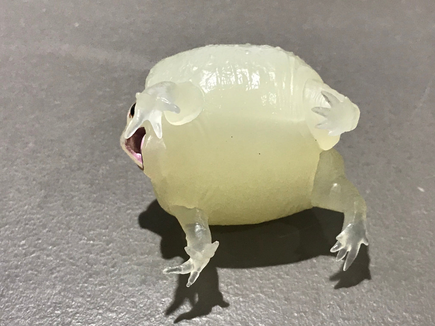 Realistic African Bushveld Rain Frog Plastic Glow in Dark Clear Color Figure