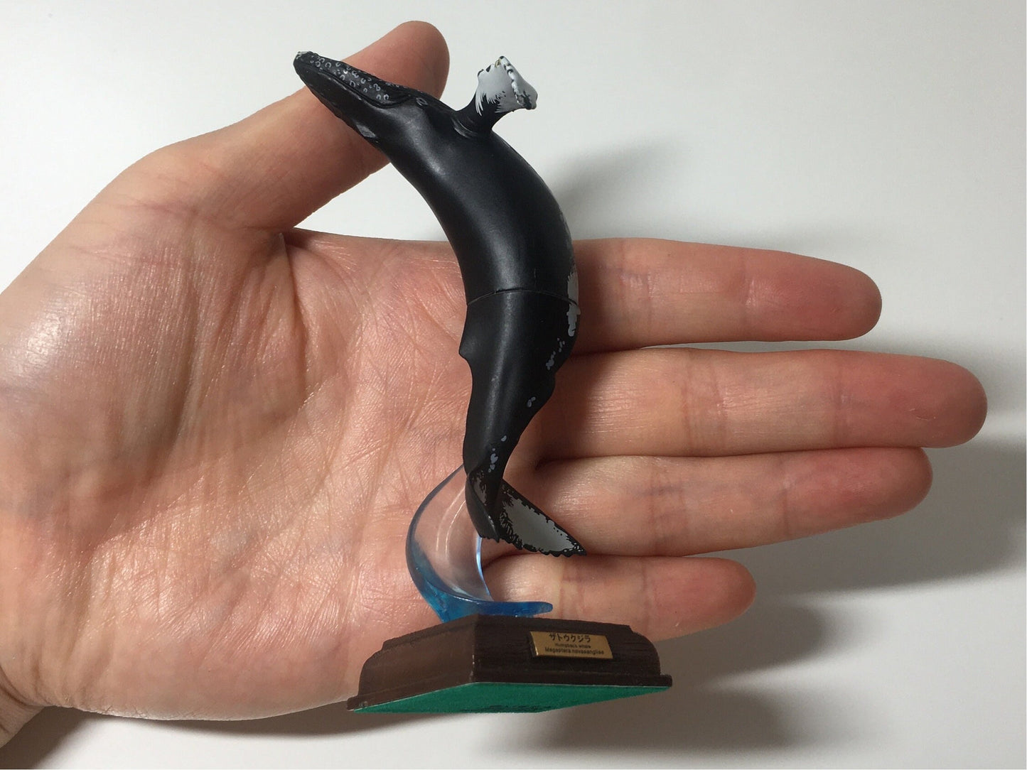 Nature Techni Colour Humpback Whale Fish Figure