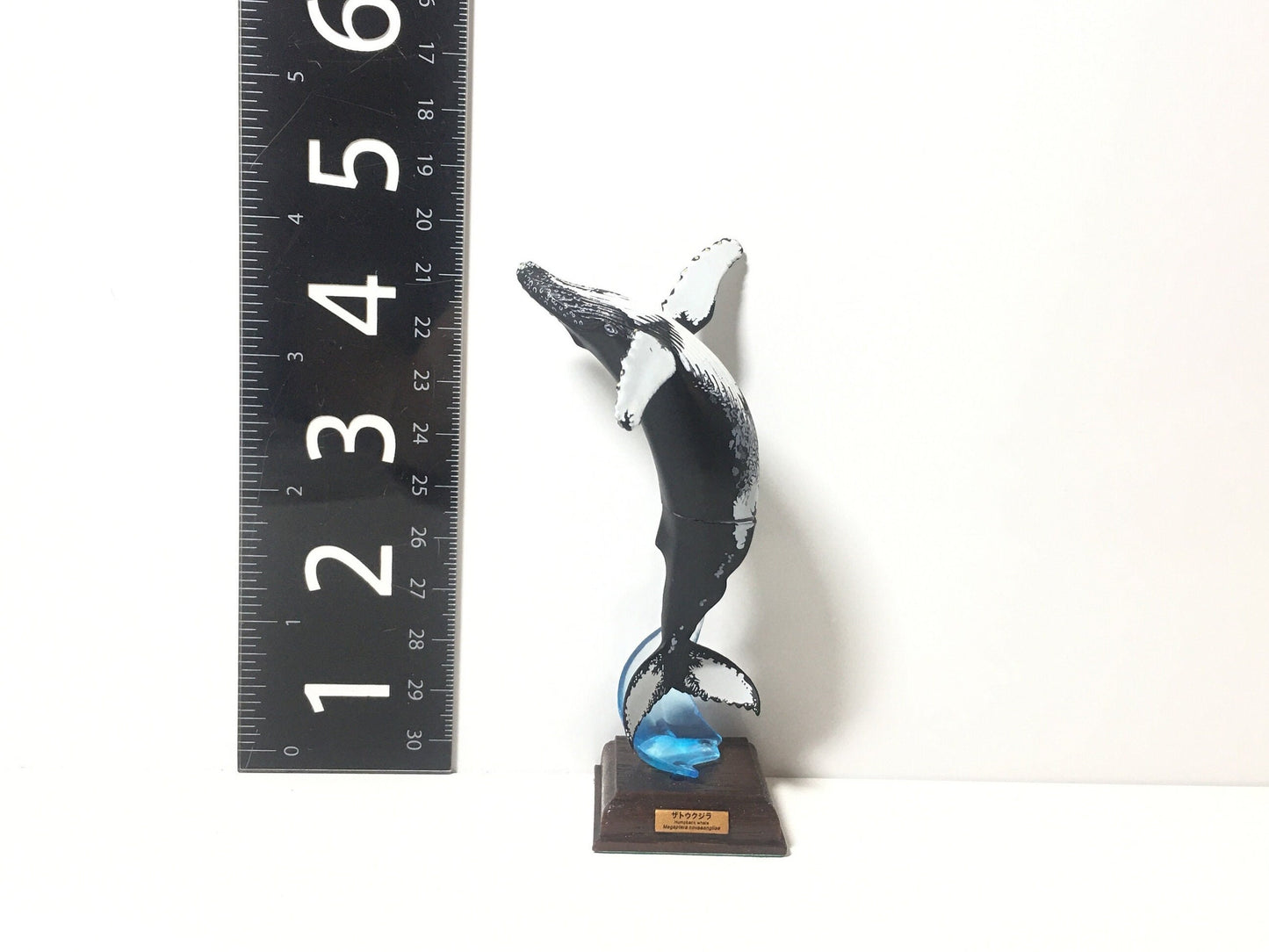 Nature Techni Colour Humpback Whale Fish Figure