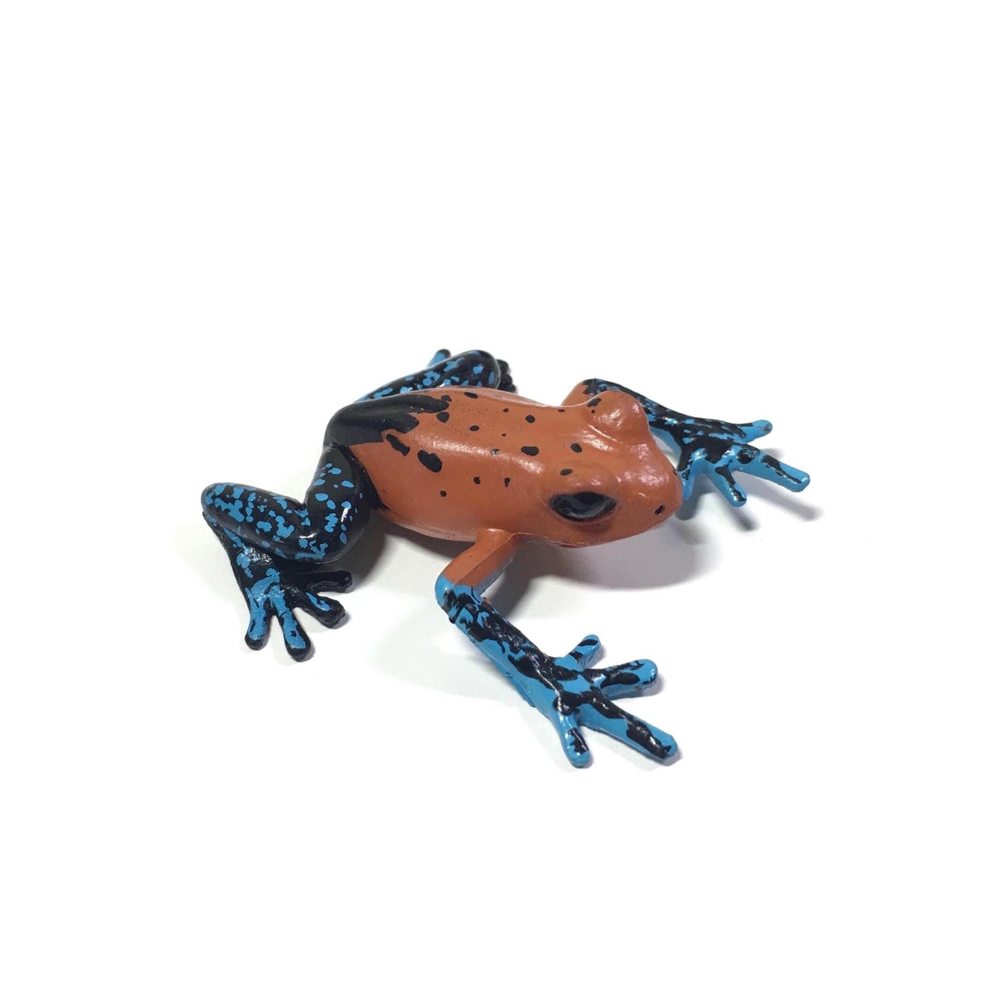 Colorata Strawberry Poison Frog Toad PVC Figure