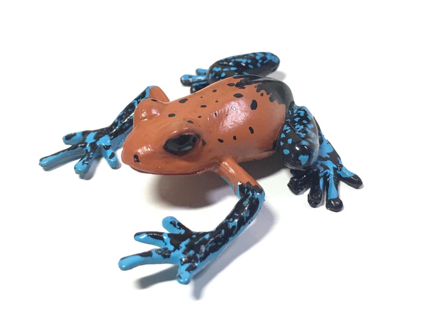 Colorata Strawberry Poison Frog Toad PVC Figure