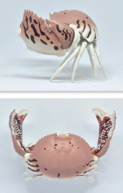 Plastic Ocean Box Crab Figure w/Moving Joints Parts
