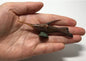 Vintage Kaiyodo Series 2 Pteraspis Armored Fish Dinosaur Dinotales Plastic Miniature Figure