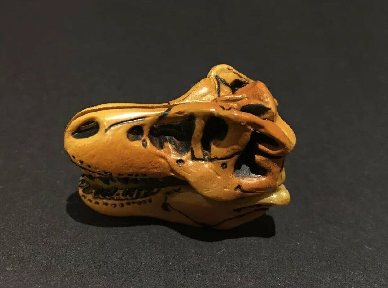 Vintage Kaiyodo Tyrannosaurus Rex Skull Dinosaur Dinotales Plastic Miniature Figure