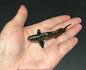 Vintage Kaiyodo Cladoselache Ancient Shark Dinosaur Dinotales Plastic Miniature Figure