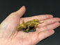 Vintage Kaiyodo Triceratops Skeleton Dinosaur Dinotales Plastic Miniature Figure