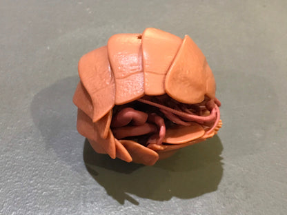 Plastic Pill Bug Roly Poly Insect Potato Bug Isopod Keychain Figure w/Moving Parts - Reddish Brown Color 9cm