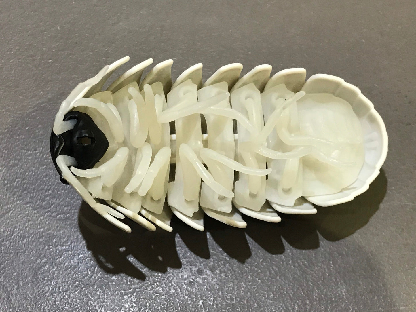 Plastic Pill Bug Roly Poly Insect Potato Bug Isopod KEYCHAIN Figure w/Moving Parts - ZEBRA Color 9cm