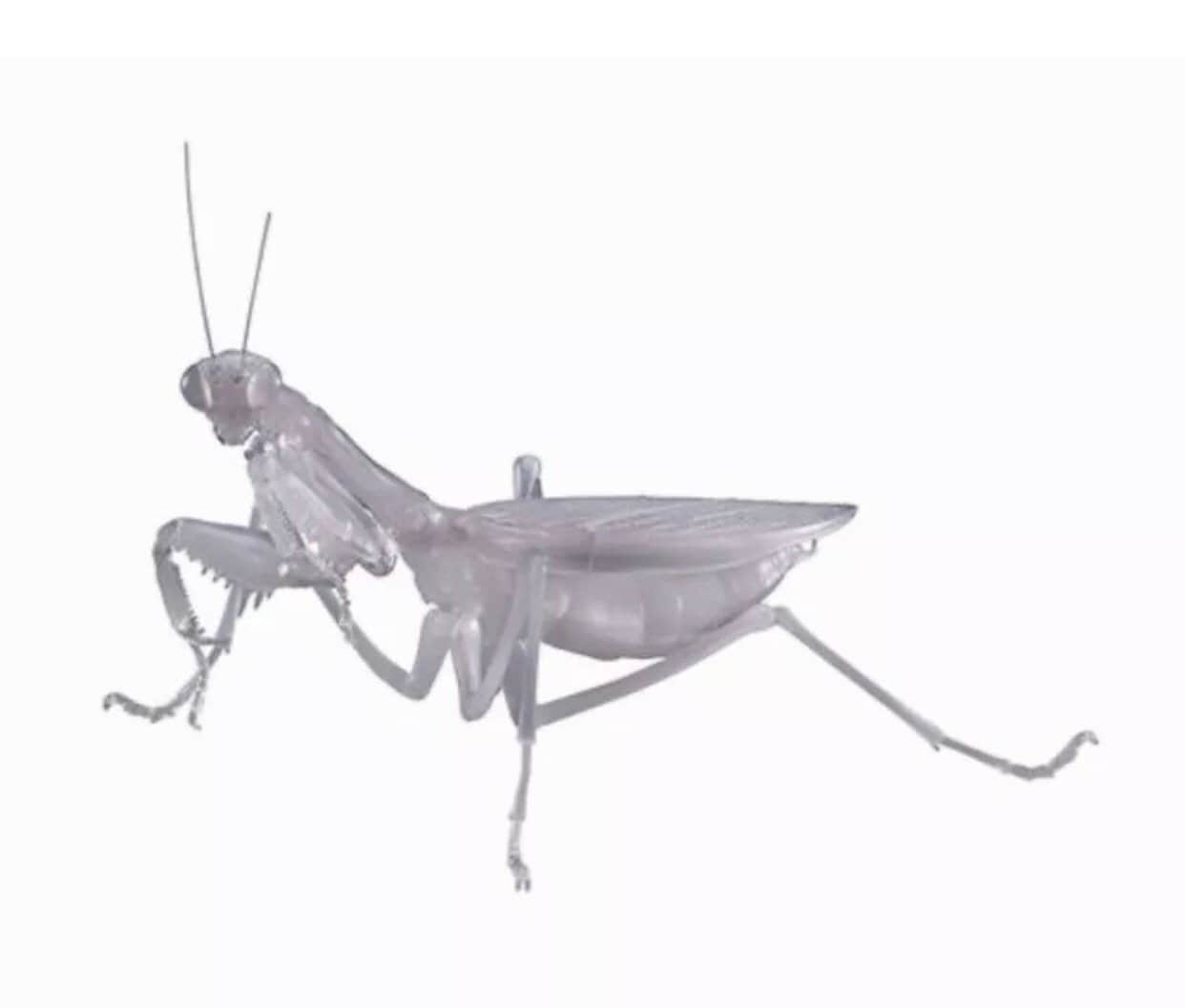 Praying Mantis Clear Albino White Insect PVC Figure w/ Movable Joints