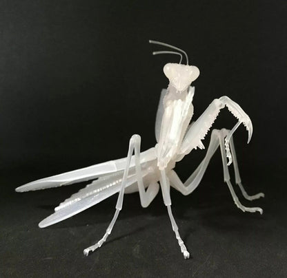 Praying Mantis Clear Albino White Insect PVC Figure w/ Movable Joints