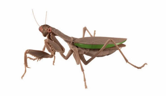 Praying Mantis Brown PVC Figure w/ Movable Joints Normal Abdomen Version