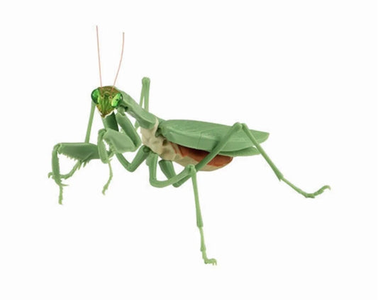Praying Mantis Green PVC Figure w/ Movable Joints Normal Abdomen Version