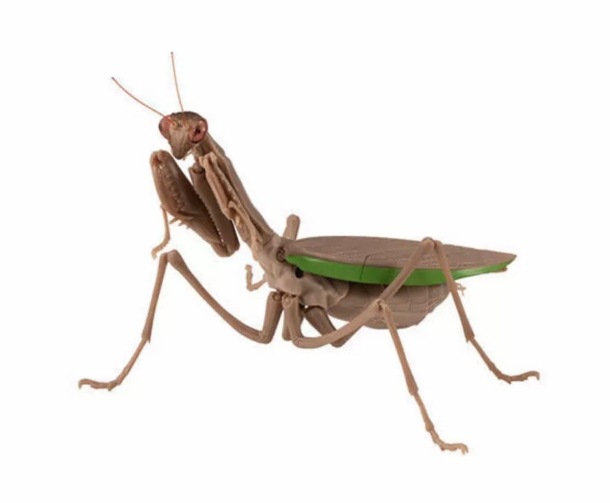 Praying Mantis Brown PVC Figure w/ Movable Joints Large Abdomen Version