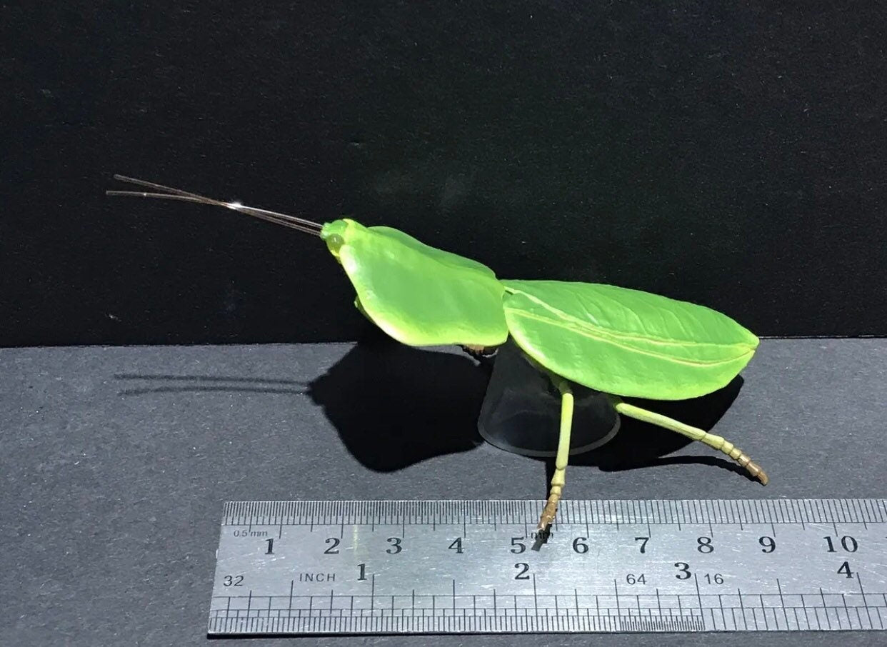 Hooded Green Praying Mantis PVC Figure