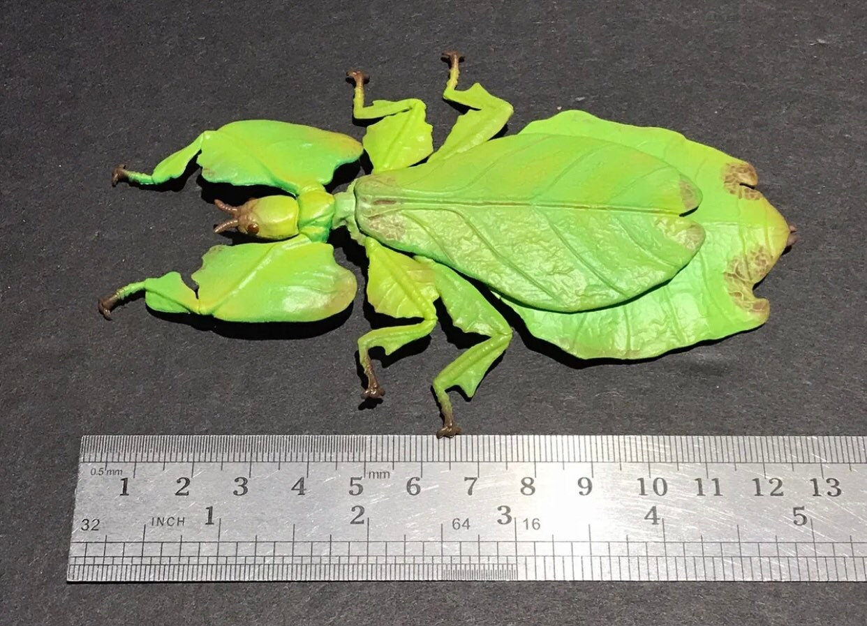 Malaysian Giant Leaf Insect PVC Figure