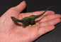 Vintage Kaiyodo Series 2 Allosaurus Dinosaur Dinotales Plastic Miniature Figure