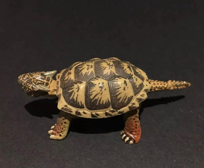 Vintage Kaiyodo Series 2 Meiolania Turtle Dinosaur Dinotales Plastic Miniature Figure