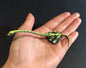 Vintage Kaiyodo Series 2 Tanyatropheus Dinosaur Dinotales Plastic Miniature Figure