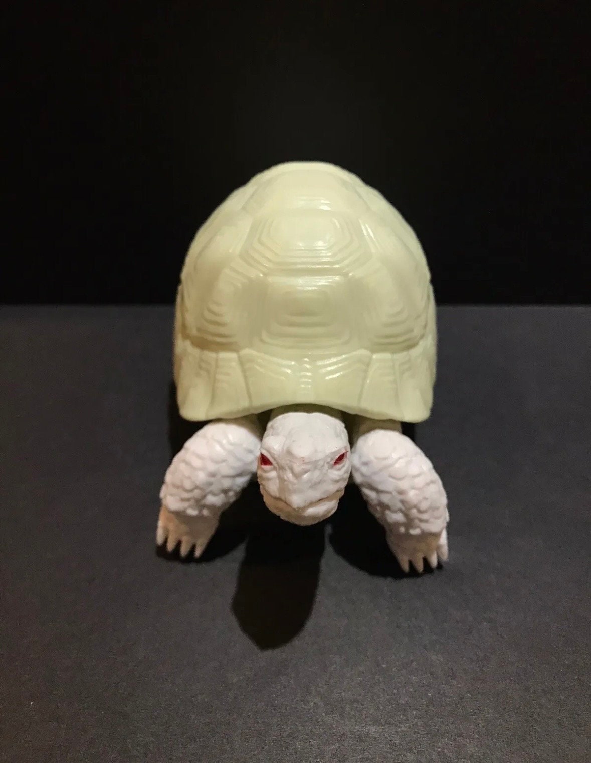 Realistic Greek Tortoise Turtle Model Plastic Figure with Movable legs and head Albino White Color