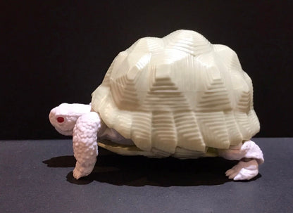 Realistic Indian Star Tortoise Turtle Model Plastic Figure with Movable legs and head Albino White Color