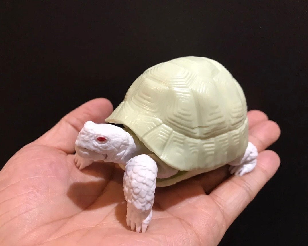 Realistic Greek Tortoise Turtle Model Plastic Figure with Movable legs and head Albino White Color