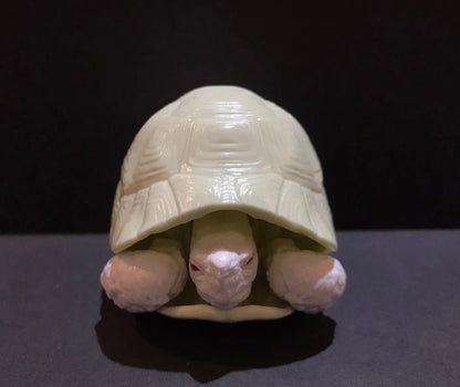 Realistic Greek Tortoise Turtle Model Plastic Figure with Movable legs and head Albino White Color