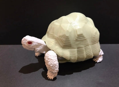 Realistic Indian Star Tortoise Turtle Model Plastic Figure with Movable legs and head Albino White Color
